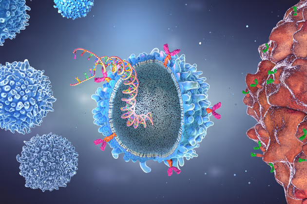 Eksozomlar ve Kadın Doğum (Obstetri) Arasındaki Biyolojik Bağlantı